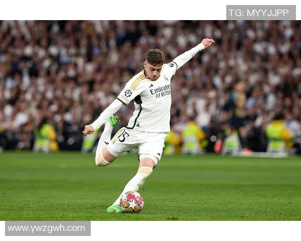 足球明星们热衷的各种视频游戏推荐与分享