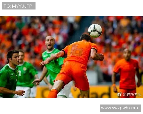 北爱尔兰与荷兰足球对决结果揭晓精彩瞬间回顾