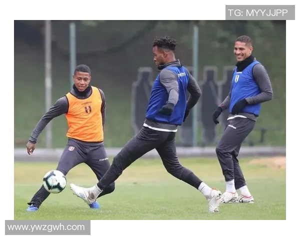 巴西与荷兰对决分析大小球投注策略与预测 巴西与荷兰对决分析大小球投注策略与预测