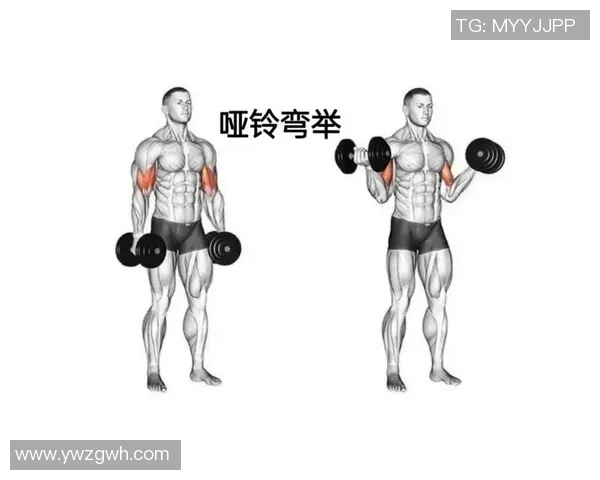 全面提升身体素质的哑铃锻炼方法助你塑造全身肌肉线条